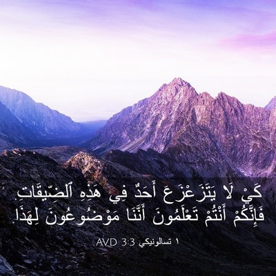Picture 03 - ١ تسالونيكي 3:3 AVD - كَيْ لَا يَتَزَعْزَعَ - Bible Verse Picture