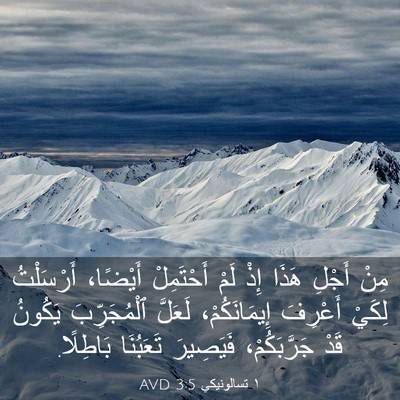 Picture 03 - ١ تسالونيكي 3:5 AVD - مِنْ أَجْلِ هَذَا إِذْ - Bible Verse Picture