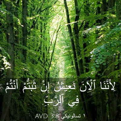 Picture 03 - ١ تسالونيكي 3:8 AVD - لِأَنَّنَا ٱلْآنَ نَعِيشُ - Bible Verse Picture