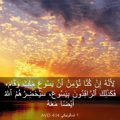 Picture 03 - ١ تسالونيكي 4:14 AVD - لِأَنَّهُ إِنْ كُنَّا - Bible Verse Picture