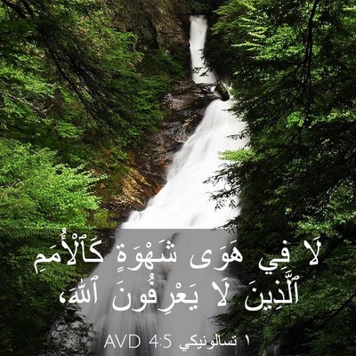 Picture 03 - ١ تسالونيكي 4:5 AVD - لَا فِي هَوَى شَهْوَةٍ - Bible Verse Picture