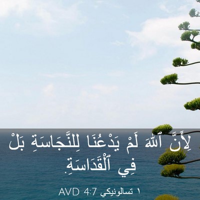 Picture 03 - ١ تسالونيكي 4:7 AVD - لِأَنَّ ٱللهَ لَمْ - Bible Verse Picture