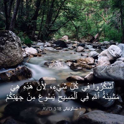 Picture 03 - ١ تسالونيكي 5:18 AVD - ٱشْكُرُوا فِي كُلِّ - Bible Verse Picture
