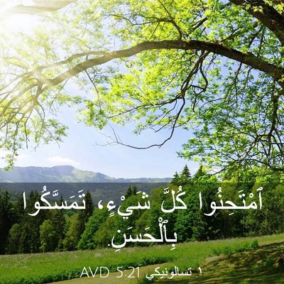 Picture 03 - ١ تسالونيكي 5:21 AVD - ٱمْتَحِنُوا كُلَّ شَيْءٍ، - Bible Verse Picture