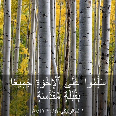 Picture 03 - ١ تسالونيكي 5:26 AVD - سَلِّمُوا عَلَى - Bible Verse Picture