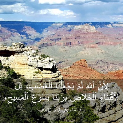Picture 03 - ١ تسالونيكي 5:9 AVD - لِأَنَّ ٱللهَ لَمْ - Bible Verse Picture