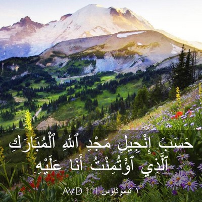 Picture 03 - ١ تيموثاوس 1:11 AVD - حَسَبَ إِنْجِيلِ مَجْدِ - Bible Verse Picture