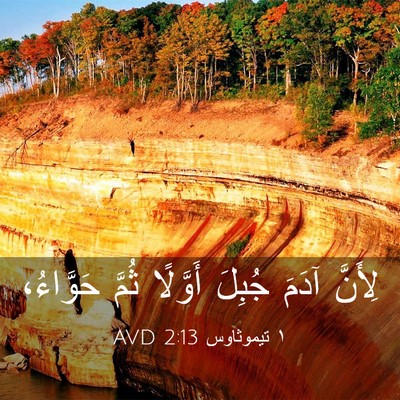 Picture 03 - ١ تيموثاوس 2:13 AVD - لِأَنَّ آدَمَ جُبِلَ - Bible Verse Picture
