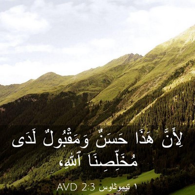 Picture 03 - ١ تيموثاوس 2:3 AVD - لِأَنَّ هَذَا حَسَنٌ - Bible Verse Picture