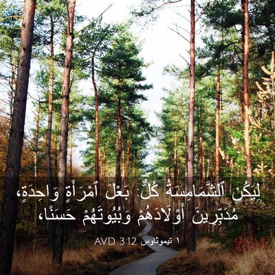 Picture 03 - ١ تيموثاوس 3:12 AVD - لِيَكُنِ ٱلشَّمَامِسَةُ - Bible Verse Picture