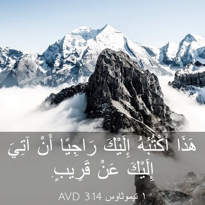 Picture 03 - ١ تيموثاوس 3:14 AVD - هَذَا أَكْتُبُهُ إِلَيْكَ - Bible Verse Picture