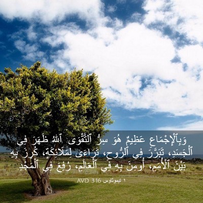 Picture 03 - ١ تيموثاوس 3:16 AVD - وَبِٱلْإِجْمَاعِ عَظِيمٌ - Bible Verse Picture