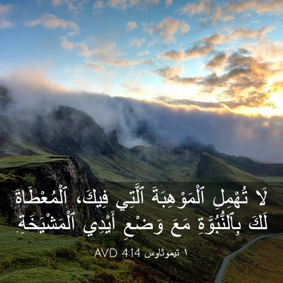 Picture 03 - ١ تيموثاوس 4:14 AVD - لَا تُهْمِلِ - Bible Verse Picture