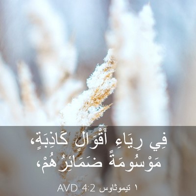 Picture 03 - ١ تيموثاوس 4:2 AVD - فِي رِيَاءِ أَقْوَالٍ - Bible Verse Picture