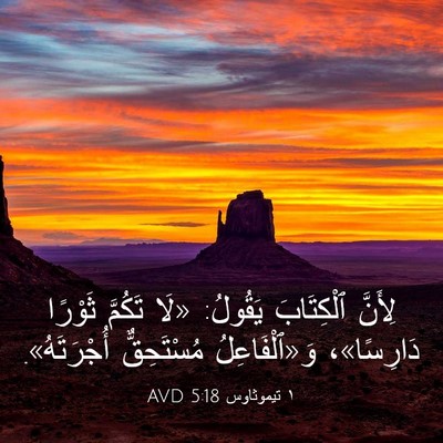 Picture 03 - ١ تيموثاوس 5:18 AVD - لِأَنَّ ٱلْكِتَابَ - Bible Verse Picture