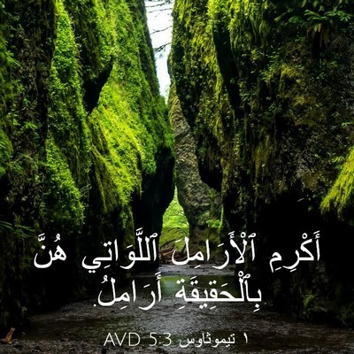 Picture 03 - ١ تيموثاوس 5:3 AVD - أَكْرِمِ ٱلْأَرَامِلَ - Bible Verse Picture
