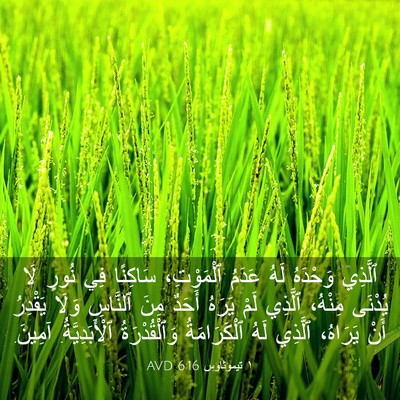 Picture 03 - ١ تيموثاوس 6:16 AVD - ٱلَّذِي وَحْدَهُ لَهُ - Bible Verse Picture