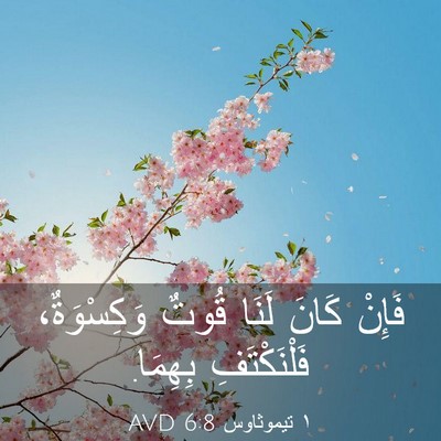Picture 03 - ١ تيموثاوس 6:8 AVD - فَإِنْ كَانَ لَنَا قُوتٌ - Bible Verse Picture