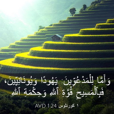 Picture 03 - ١ كورنثوس 1:24 AVD - وَأَمَّا - Bible Verse Picture