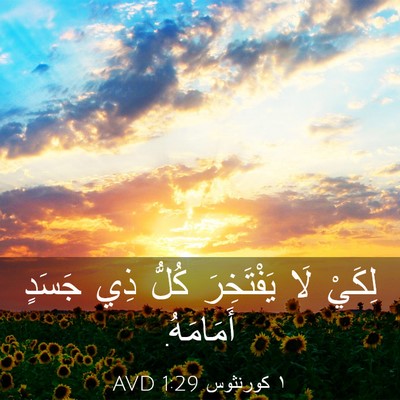 Picture 03 - ١ كورنثوس 1:29 AVD - لِكَيْ لَا يَفْتَخِرَ - Bible Verse Picture