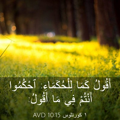 Picture 03 - ١ كورنثوس 10:15 AVD - أَقُولُ كَمَا - Bible Verse Picture