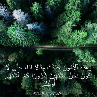 Picture 03 - ١ كورنثوس 10:6 AVD - وَهَذِهِ ٱلْأُمُورُ - Bible Verse Picture