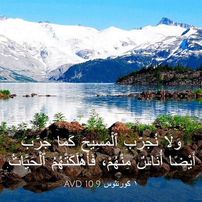 Picture 03 - ١ كورنثوس 10:9 AVD - وَلَا نُجَرِّبِ - Bible Verse Picture