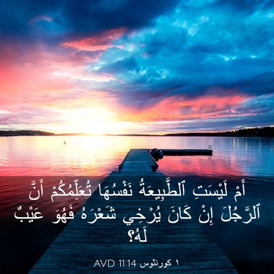 Picture 03 - ١ كورنثوس 11:14 AVD - أَمْ لَيْسَتِ - Bible Verse Picture