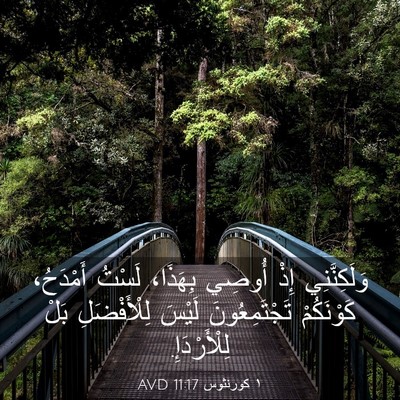 Picture 03 - ١ كورنثوس 11:17 AVD - وَلَكِنَّنِي إِذْ أُوصِي - Bible Verse Picture