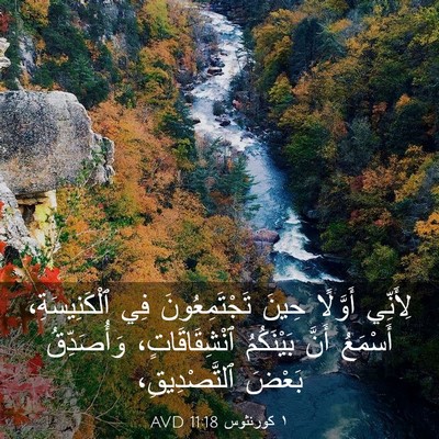 Picture 03 - ١ كورنثوس 11:18 AVD - لِأَنِّي أَوَّلًا حِينَ - Bible Verse Picture