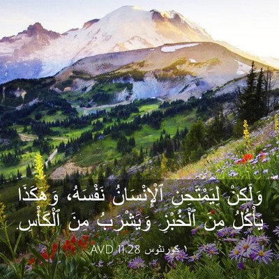 Picture 03 - ١ كورنثوس 11:28 AVD - وَلَكِنْ لِيَمْتَحِنِ - Bible Verse Picture
