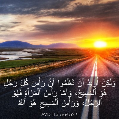 Picture 03 - ١ كورنثوس 11:3 AVD - وَلَكِنْ أُرِيدُ أَنْ - Bible Verse Picture