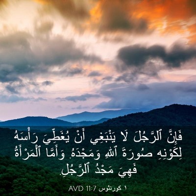 Picture 03 - ١ كورنثوس 11:7 AVD - فَإِنَّ ٱلرَّجُلَ لَا - Bible Verse Picture