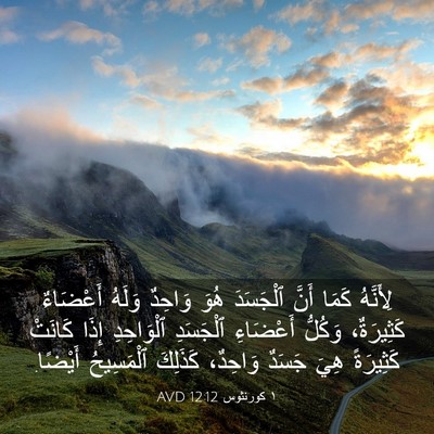 Picture 03 - ١ كورنثوس 12:12 AVD - لِأَنَّهُ كَمَا أَنَّ - Bible Verse Picture