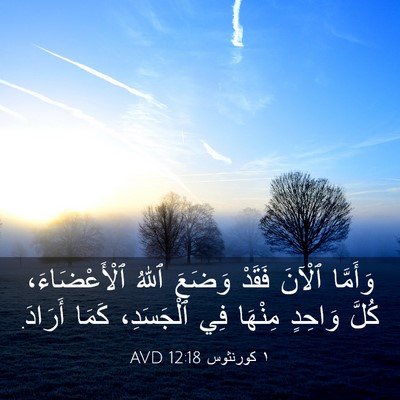 Picture 03 - ١ كورنثوس 12:18 AVD - وَأَمَّا ٱلْآنَ فَقَدْ - Bible Verse Picture