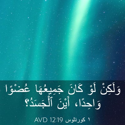Picture 03 - ١ كورنثوس 12:19 AVD - وَلَكِنْ لَوْ كَانَ - Bible Verse Picture