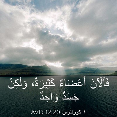 Picture 03 - ١ كورنثوس 12:20 AVD - فَٱلْآنَ أَعْضَاءٌ - Bible Verse Picture