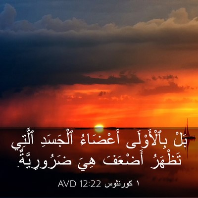 Picture 03 - ١ كورنثوس 12:22 AVD - بَلْ بِٱلْأَوْلَى - Bible Verse Picture