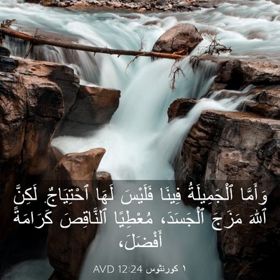 Picture 03 - ١ كورنثوس 12:24 AVD - وَأَمَّا ٱلْجَمِيلَةُ - Bible Verse Picture