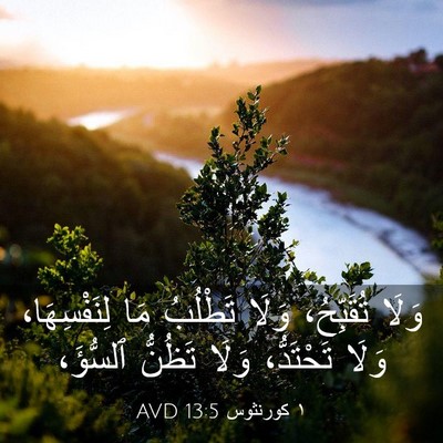 Picture 03 - ١ كورنثوس 13:5 AVD - وَلَا تُقَبِّحُ، وَلَا - Bible Verse Picture