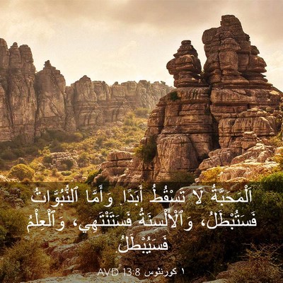 Picture 03 - ١ كورنثوس 13:8 AVD - اَلْمَحَبَّةُ لَا - Bible Verse Picture