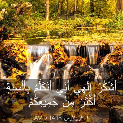 Picture 03 - ١ كورنثوس 14:18 AVD - أَشْكُرُ إِلَهِي أَنِّي - Bible Verse Picture