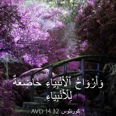 Picture 03 - ١ كورنثوس 14:32 AVD - وَأَرْوَاحُ - Bible Verse Picture