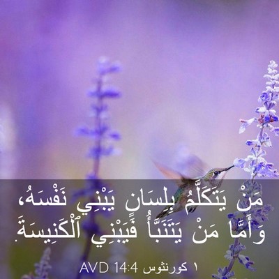 Picture 03 - ١ كورنثوس 14:4 AVD - مَنْ يَتَكَلَّمُ - Bible Verse Picture