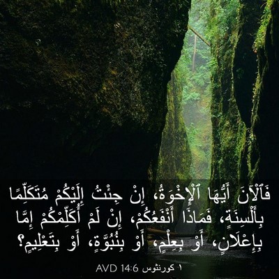 Picture 03 - ١ كورنثوس 14:6 AVD - فَٱلْآنَ أَيُّهَا - Bible Verse Picture
