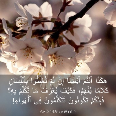 Picture 03 - ١ كورنثوس 14:9 AVD - هَكَذَا أَنْتُمْ أَيْضًا - Bible Verse Picture