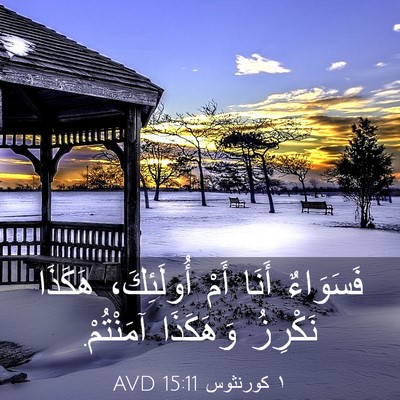 Picture 03 - ١ كورنثوس 15:11 AVD - فَسَوَاءٌ أَنَا أَمْ - Bible Verse Picture