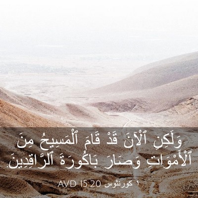Picture 03 - ١ كورنثوس 15:20 AVD - وَلَكِنِ ٱلْآنَ قَدْ قَامَ - Bible Verse Picture