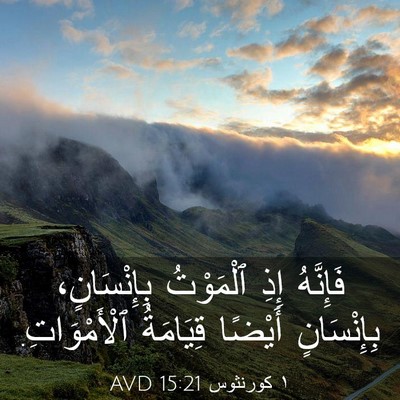 Picture 03 - ١ كورنثوس 15:21 AVD - فَإِنَّهُ إِذِ ٱلْمَوْتُ - Bible Verse Picture
