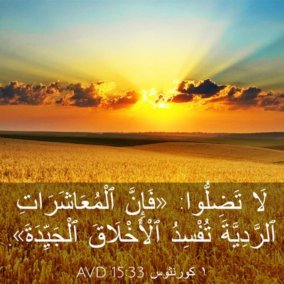 Picture 03 - ١ كورنثوس 15:33 AVD - لَا تَضِلُّوا: «فَإِنَّ - Bible Verse Picture